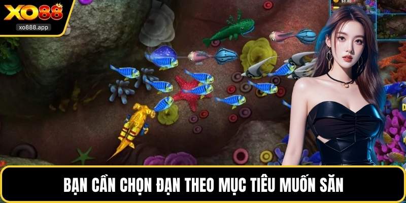 Bạn cần chọn đạn theo mục tiêu muốn săn