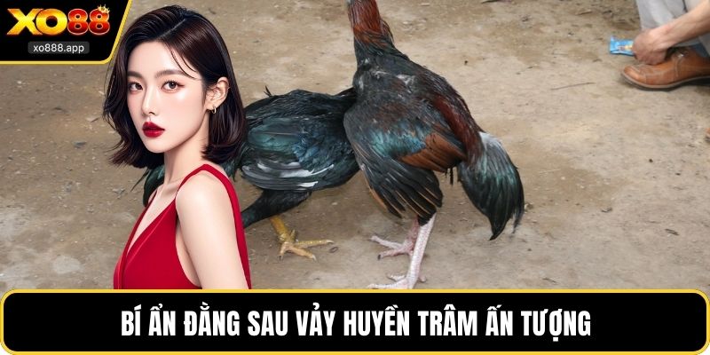Bí ẩn đằng sau vảy huyền trâm ấn tượng
