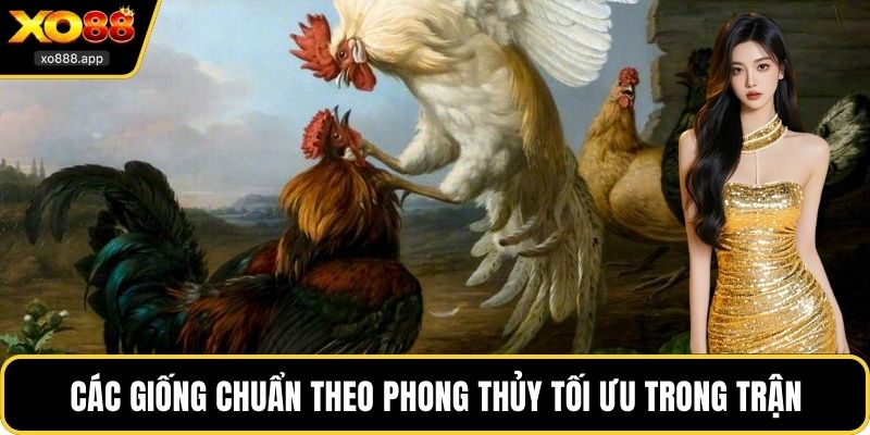 Các giống chuẩn theo phong thủy tối ưu trong trận