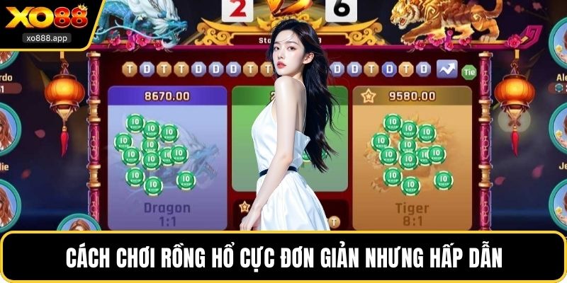 Cách chơi rồng hổ cực đơn giản nhưng hấp dẫn