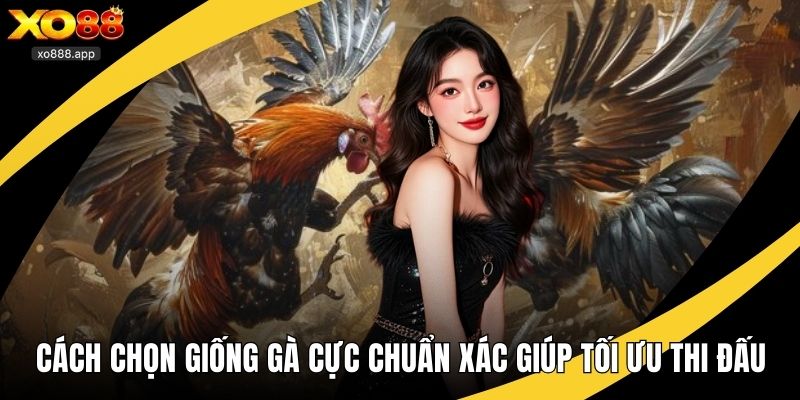 cách chọn giống gà