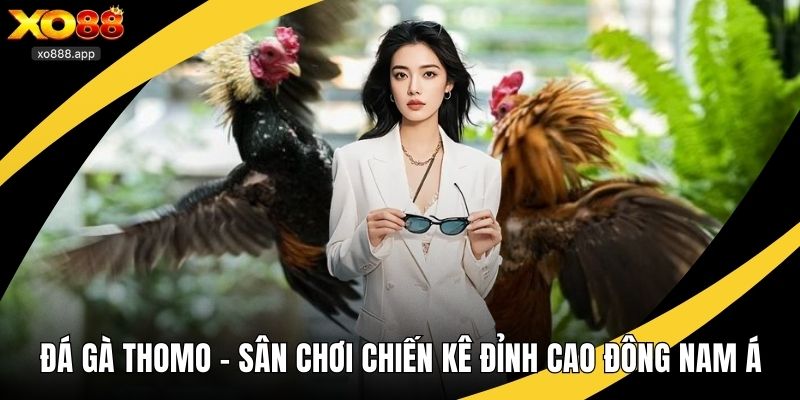 đá gà thomo