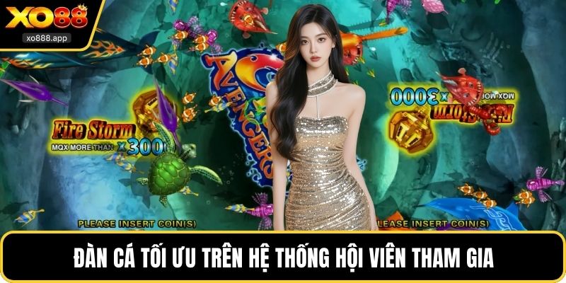 Đàn cá tối ưu trên hệ thống hội viên tham gia