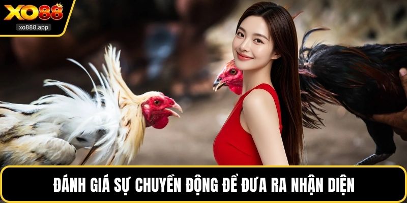 Đánh giá sự chuyền động để đưa ra nhận diện