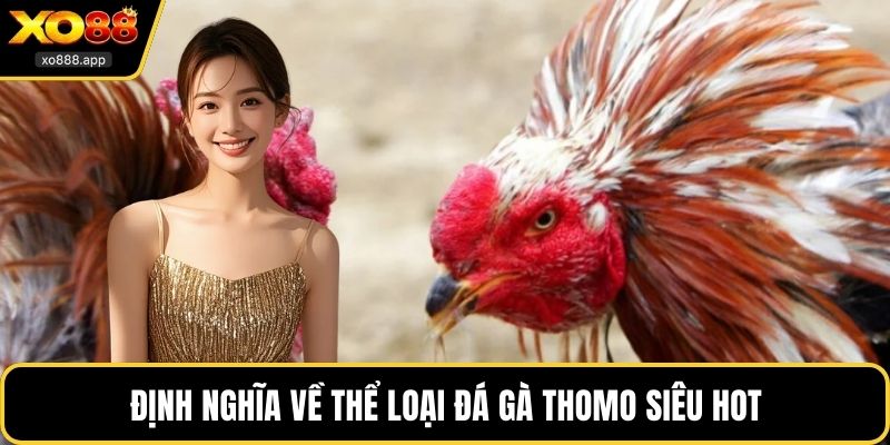 Định nghĩa về thể loại đá gà Thomo siêu hot