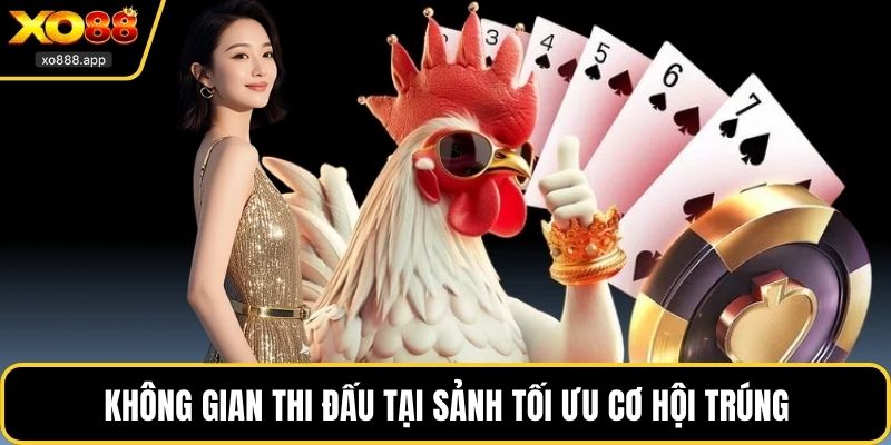 Không gian thi đấu tại sảnh tối ưu cơ hội trúng