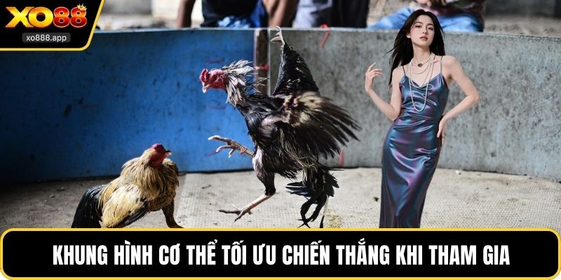 Khung hình cơ thể tối ưu chiến thắng khi tham gia