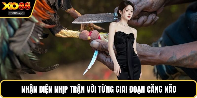 Nhận diện nhịp trận với từng giai đoạn căng não