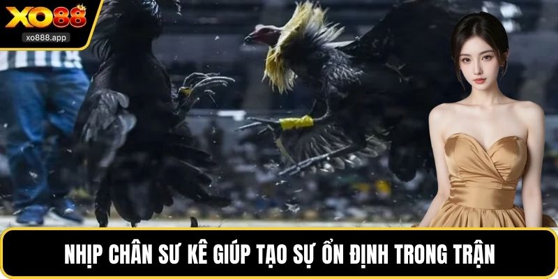 Nhịp chân sư kê giúp tạo sự ổn định trong trận