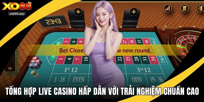Tổng hợp live casino